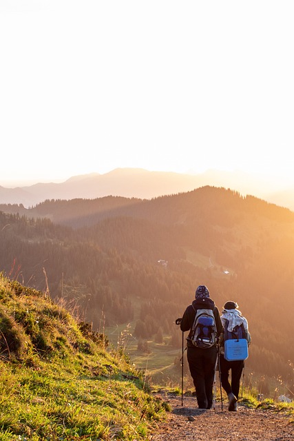 Retire Early, Financial Independence