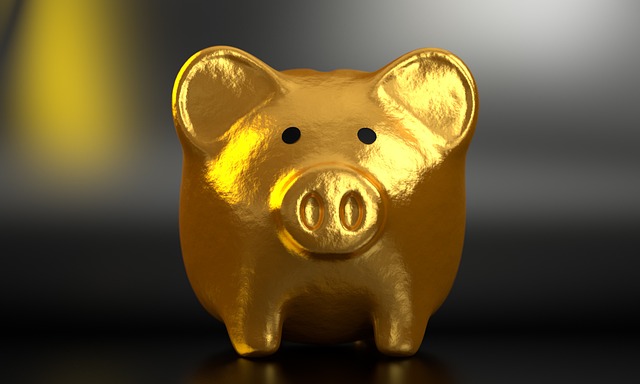 Retire Early, Financial Independence