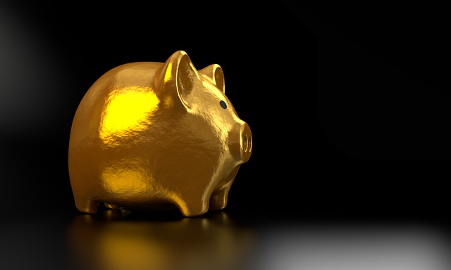Retire Early, Financial Independence