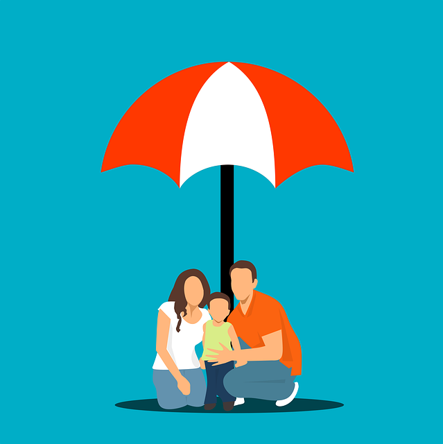 Short Term Insurance Brokers, Short Term Insurance Companies, Insurance Companies