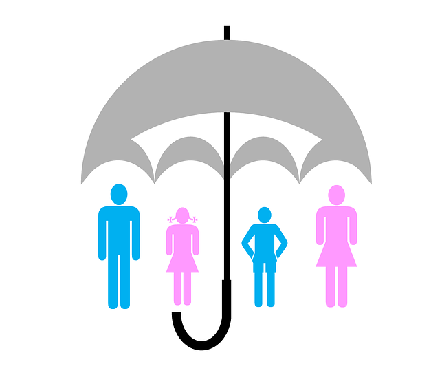 Short Term Insurance Brokers, Short Term Insurance Companies, Insurance Companies