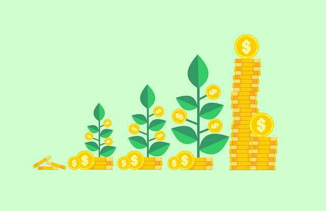 Wealth Accumulation Strategies