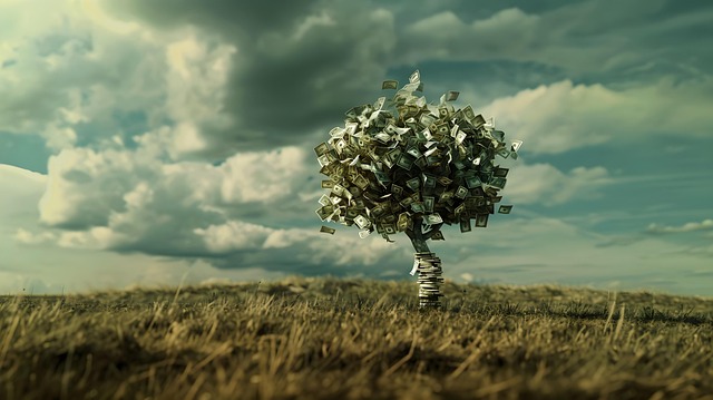 Wealth Accumulation Strategies, Wealth Accumulation, Wealth