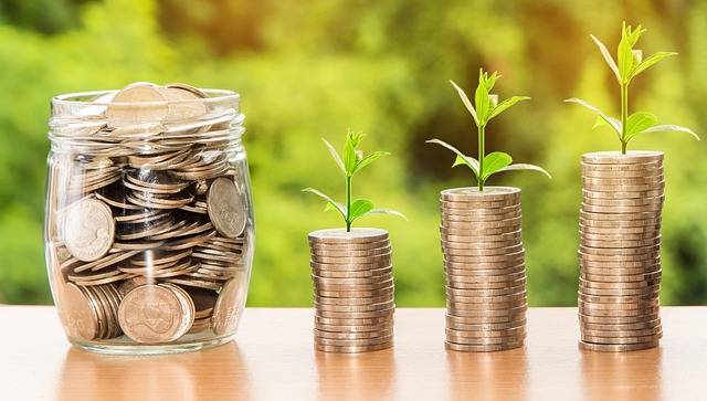 Wealth Accumulation Strategies, Wealth Accumulation, Wealth