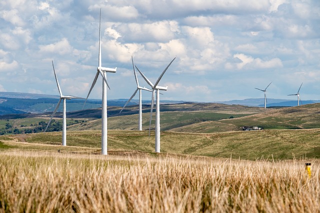 Maximizing Portfolio Potential: Exploring Alternative Investment Opportunities