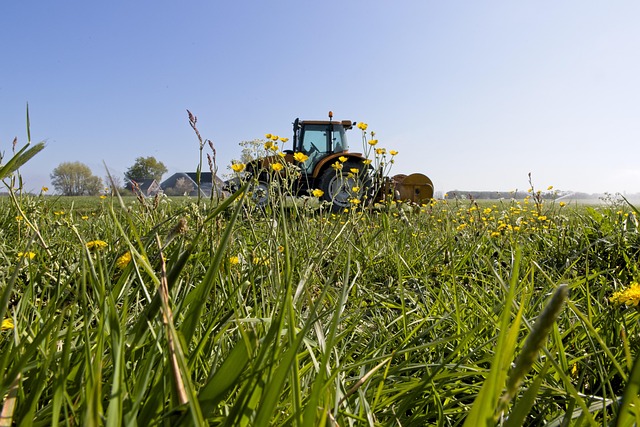 Funeral Expense Coverage