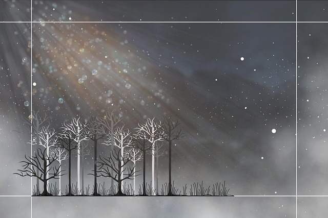 Maximize Funeral Cover Value: Compare Quotes for Wise Choices