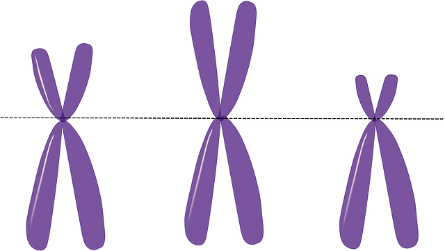 Mastering Inheritance Planning: 4 Steps to Secure Your Legacy
