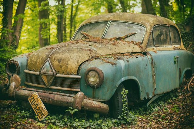 insurance car