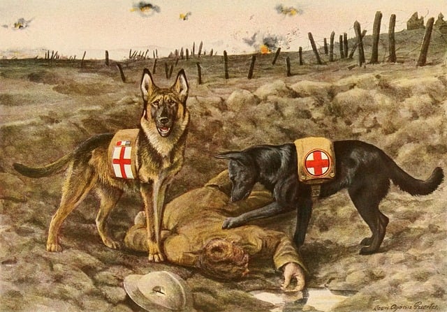 Medical Aid