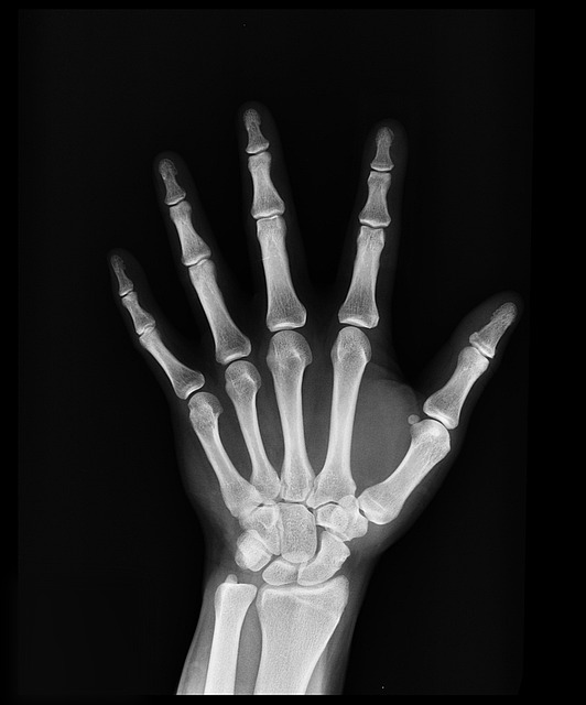 Medical Insurance Plans