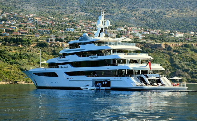 Wealth