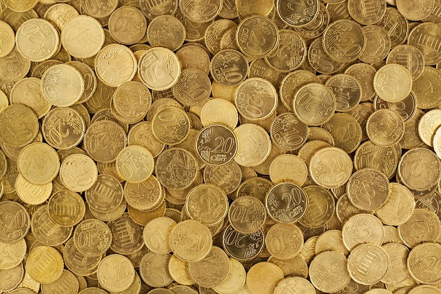 Wealth